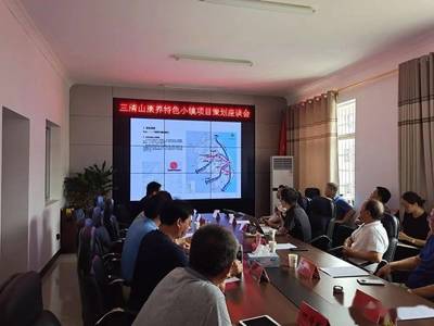 三清山康養(yǎng)特色小鎮(zhèn)項目策劃座談會順利召開，共謀旅游開發(fā)新篇章