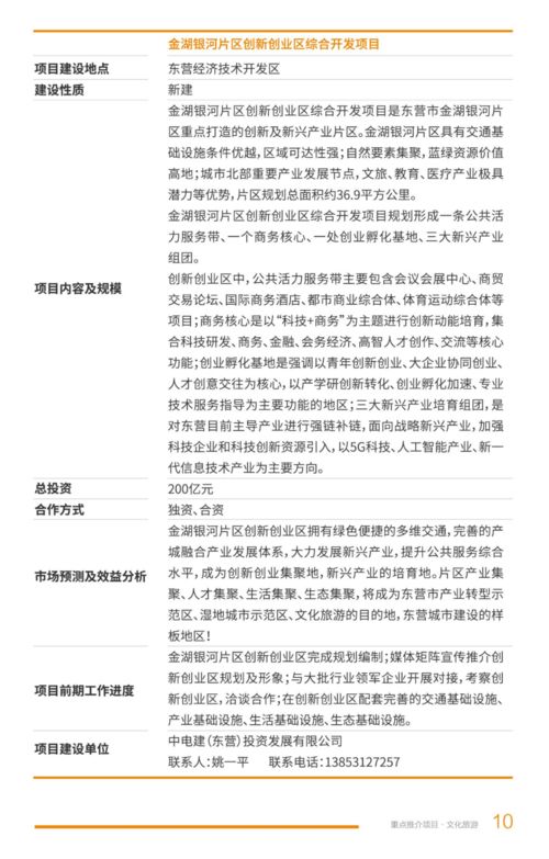 2021年東營市文化旅游項(xiàng)目開發(fā)策劃咨詢 賦能黃河入海，打造文旅新名片